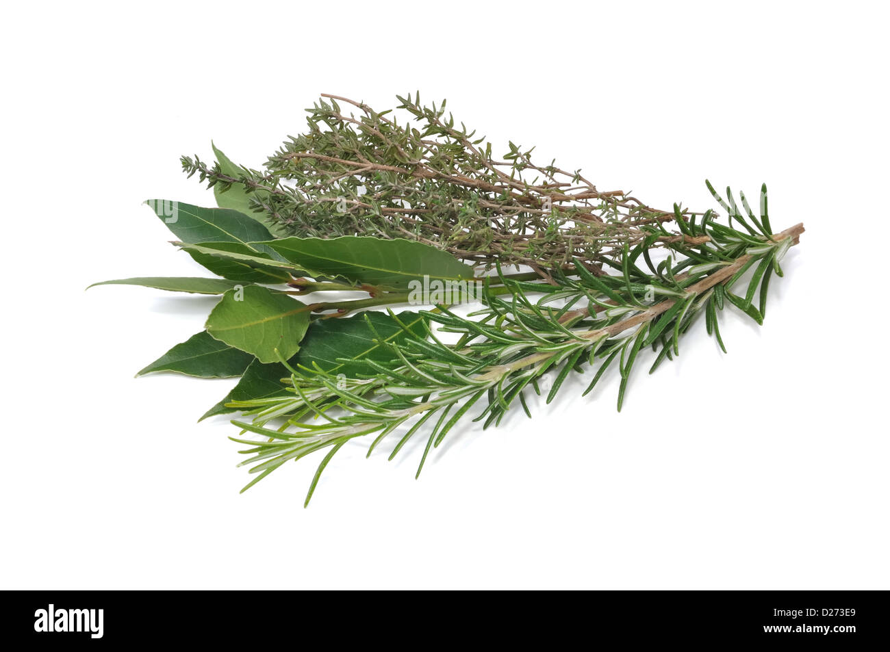 bunch of herbs composed of rosemary, thyme and bay leaves isolated on