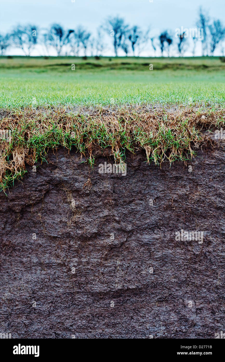 cross section of a grass field with exposed soil following erosion or landslide Stock Photo