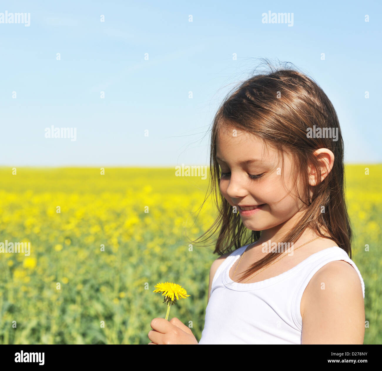 Little girl with dandelion Stock Photo - Alamy