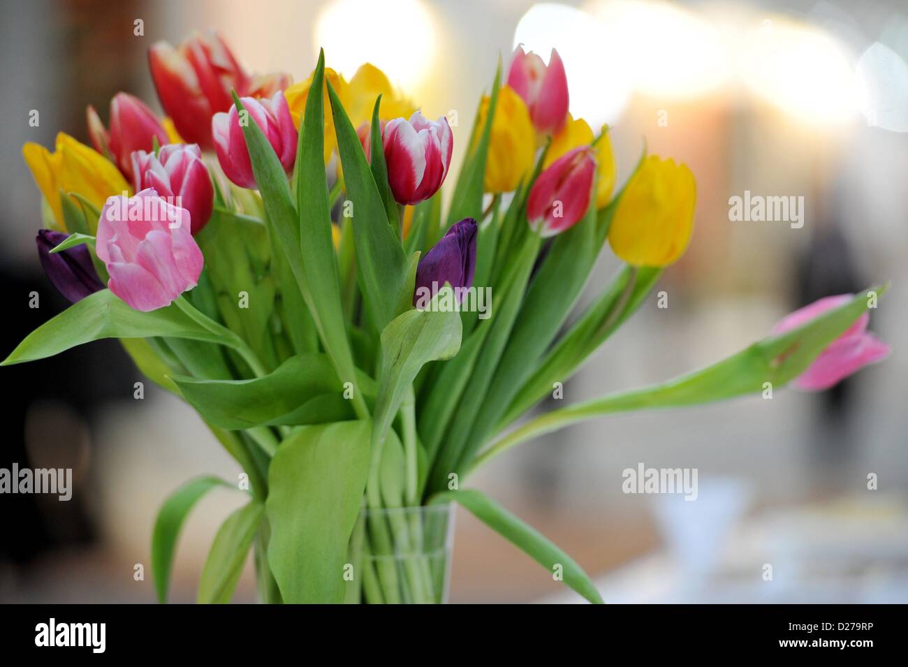 colored flower bouquet. Photo: Frank May Stock Photo