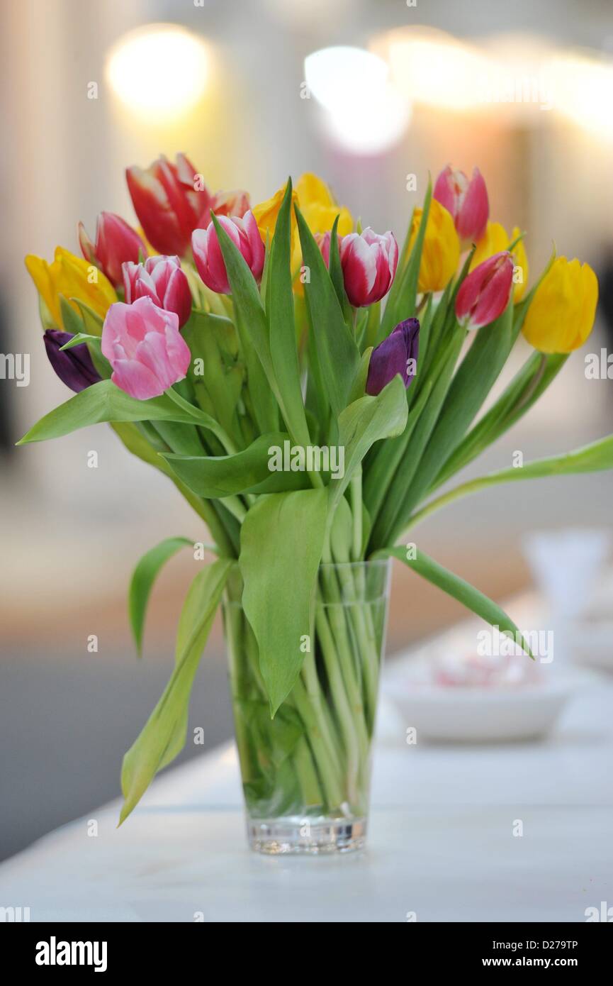 colored flower bouquet. Photo: Frank May Stock Photo