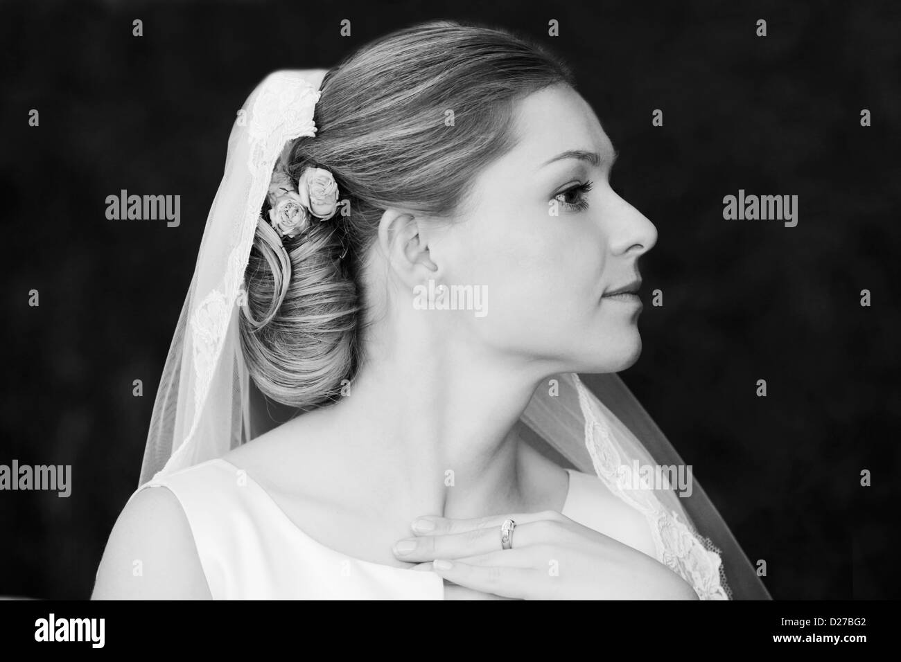 Portrait of the beautiful bride in a veil Stock Photo - Alamy