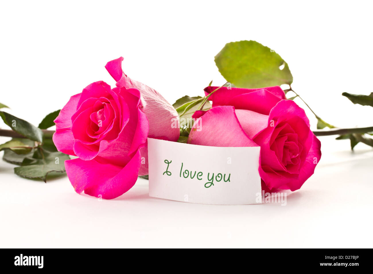 some beautiful roses red on a white background Stock Photo - Alamy