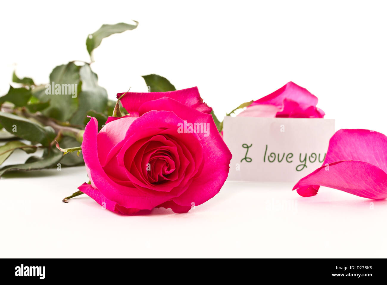 some beautiful roses red on a white background Stock Photo - Alamy