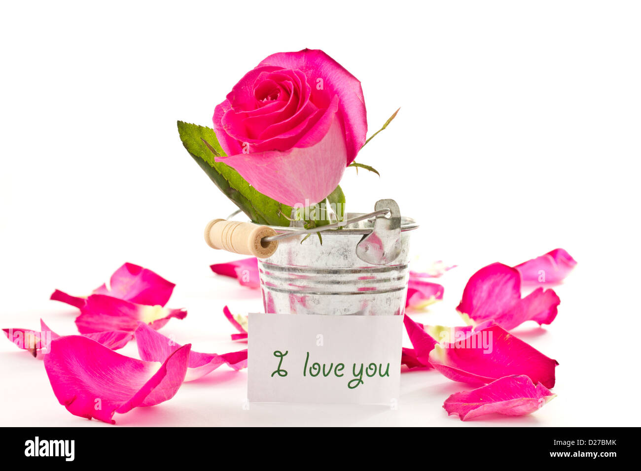 some beautiful roses red on a white background Stock Photo - Alamy