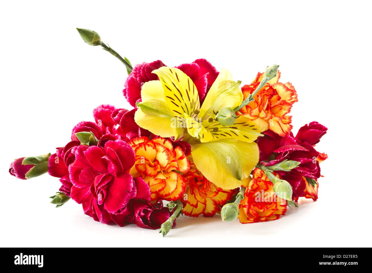 Alstroemeria and red carnations on a white background Stock Photo Alamy