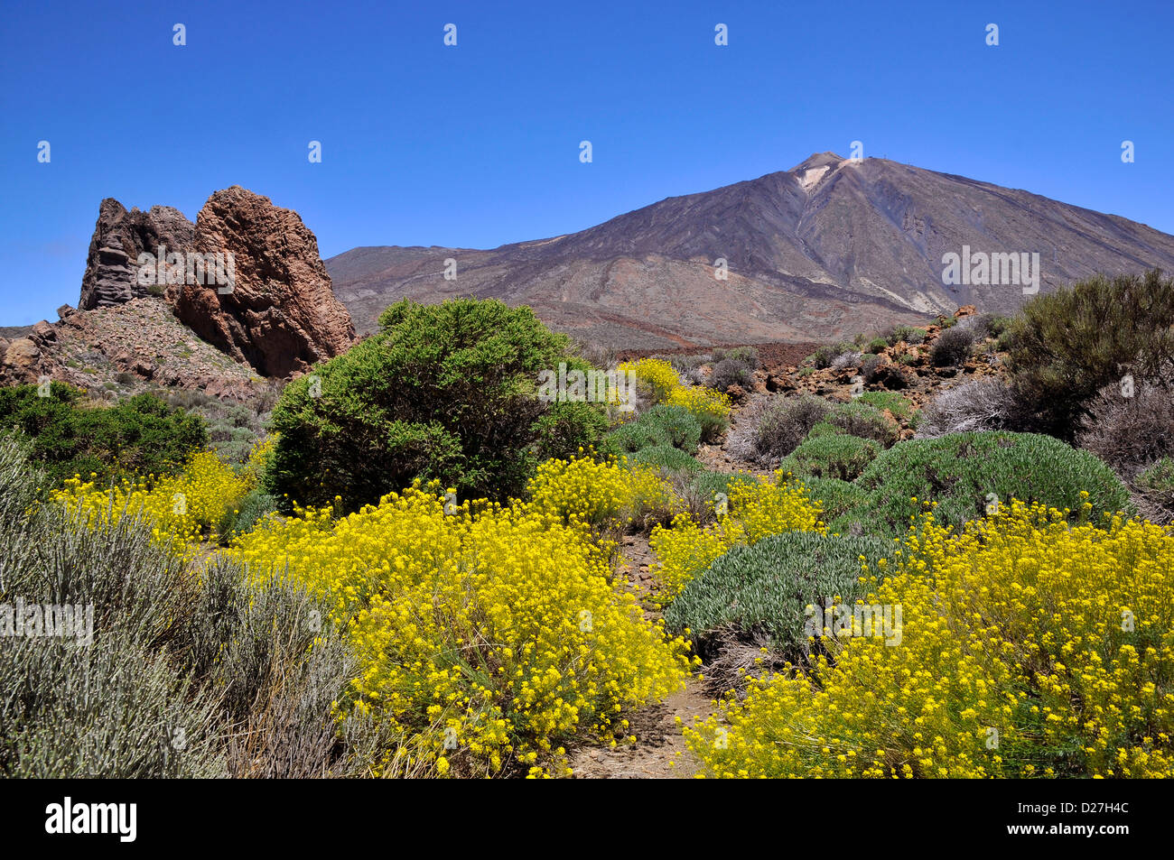 Mount Teide or, in Spanish, Pico del Teide (3718m), is a volcano at Tenerife in the Spanish Canary Islands. Stock Photo