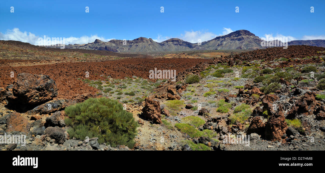 Panoramic view of volcanic mountains in the Parque Nacional of Teide at Tenerife in the spanish Canary Islands Stock Photo