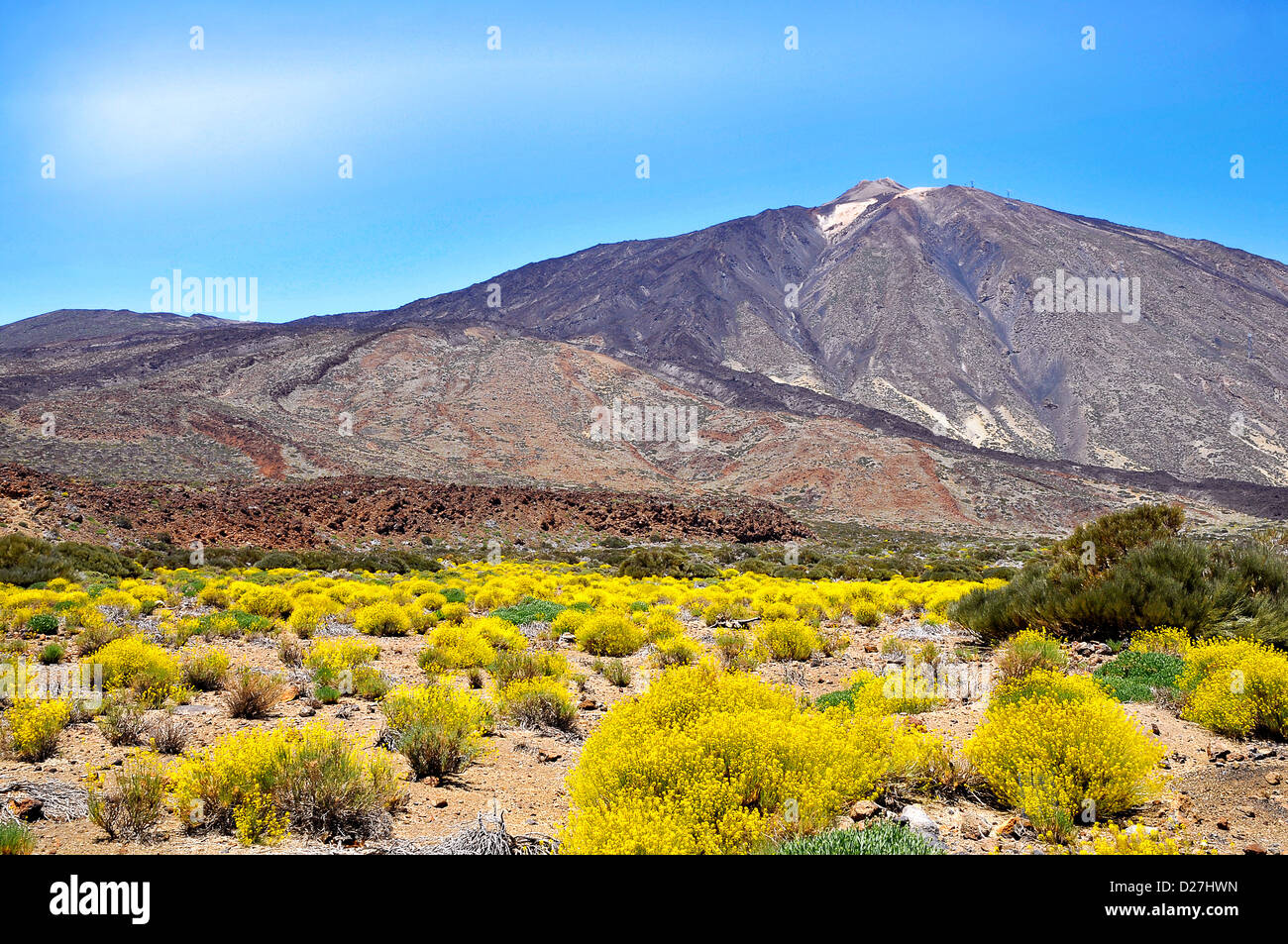 Mount Teide or, in Spanish, Pico del Teide (3718m), is a volcano at Tenerife in the Spanish Canary Islands. Stock Photo