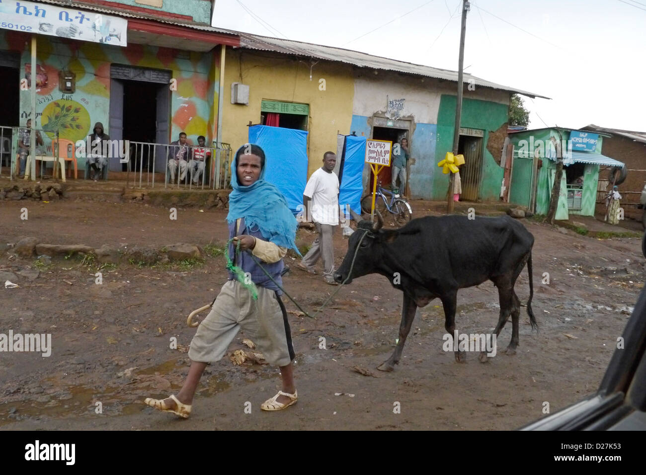 ETHIOPIA Street scenes on a rainy day in Chagni. Beni Shangul Gumuz region.  Man leading a cow. Stock Photo
