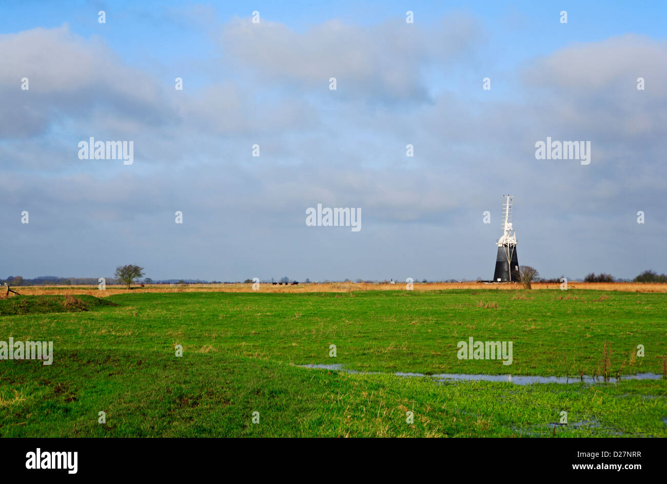 A view to Halvergate Marshes and Mutton's Drainage Mill from Wickhampton, Norfolk, England, United Kingdom. Stock Photo