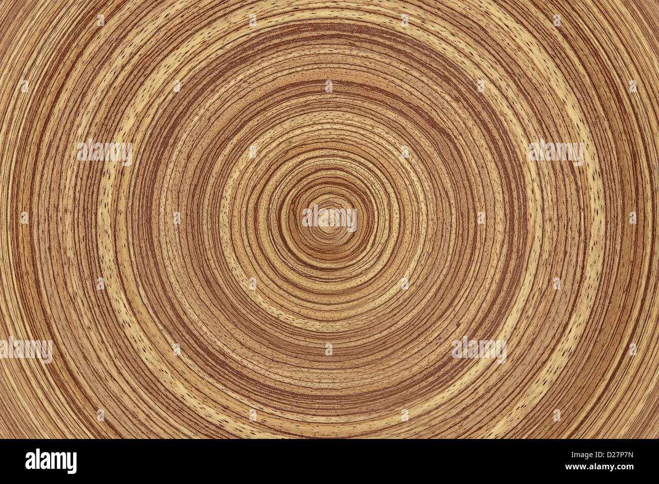 Wood rings texture - wooden background Stock Photo - Alamy