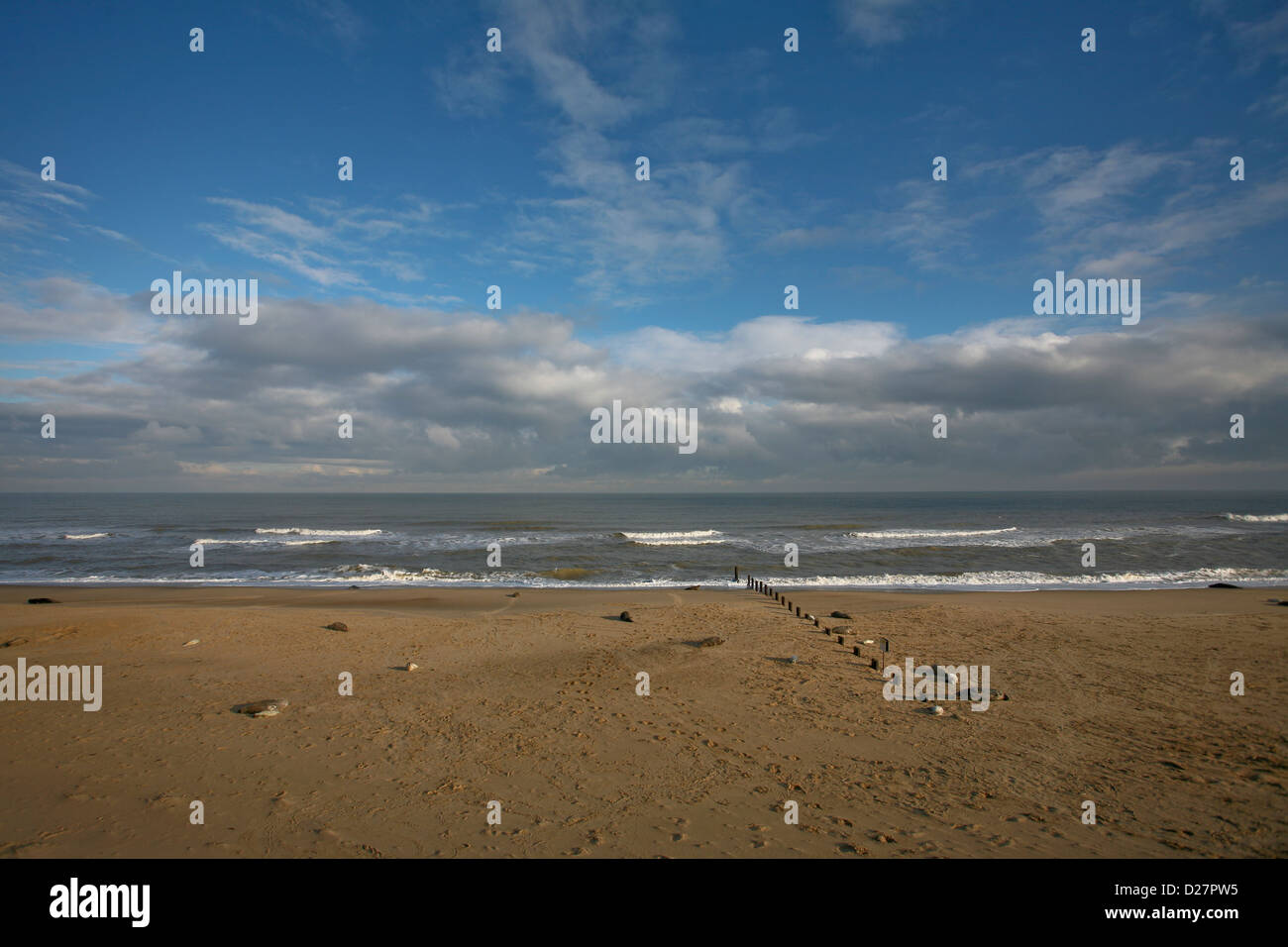 Beach at Sea Palling, Norfolk, with Grey seals and young seal pups ...