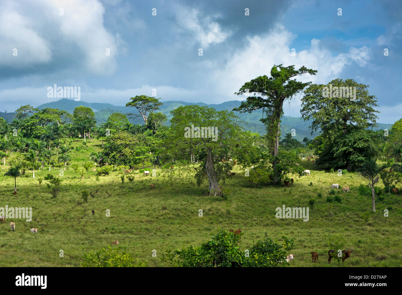 Countryside at Punta Cana, Dominican Republic, Caribbean Stock Photo