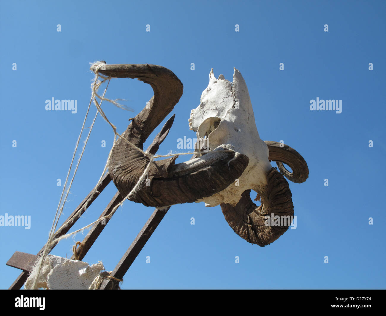 Impaled ram's skull on metal spike with blue sky Stock Photo