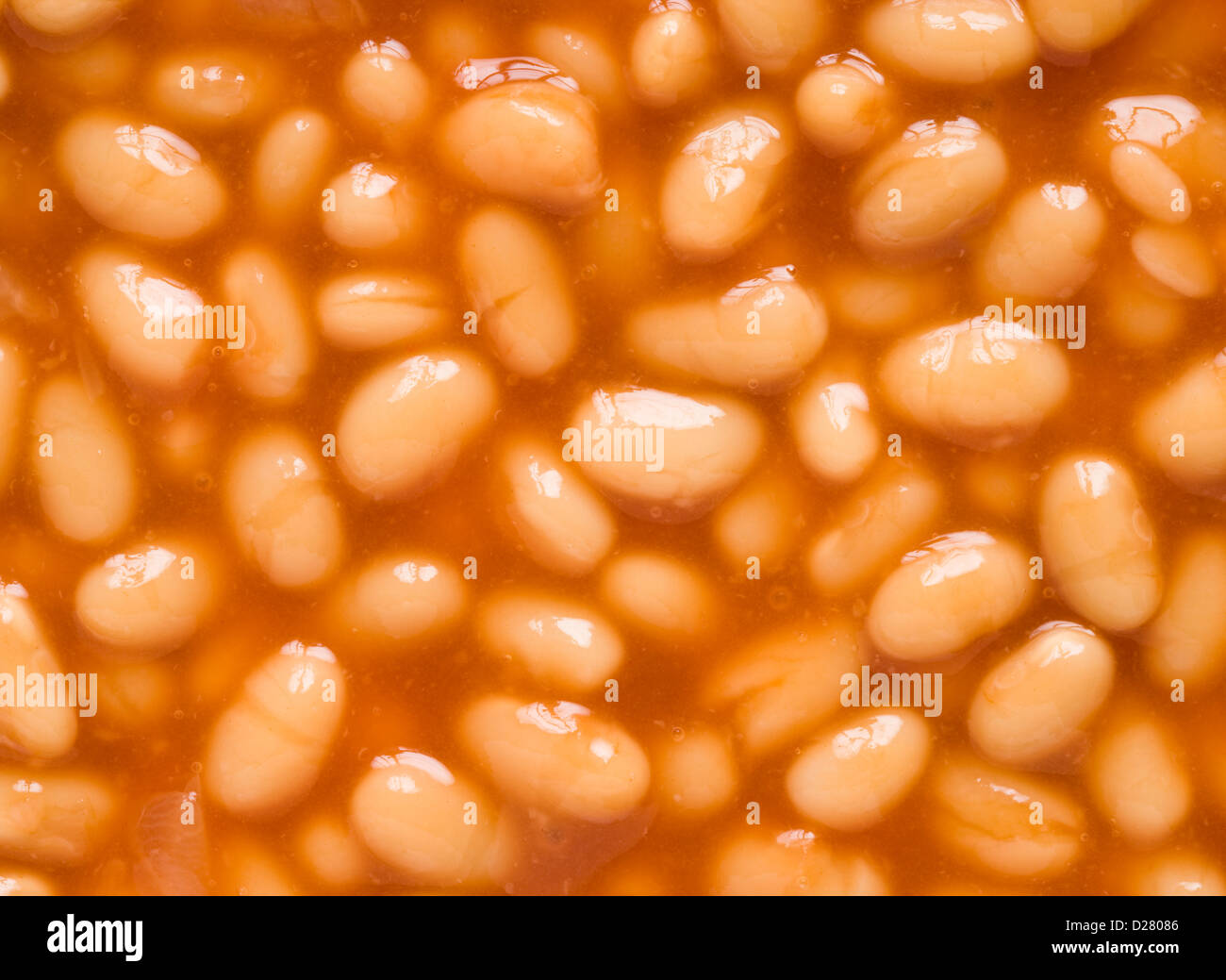 Baked beans. Stock Photo