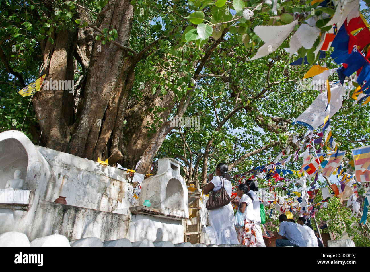 Pilgrims worshiping the sacred Bodhi tree. Temple of the Sacred Tooth Relic. Kandy. Sri Lanka Stock Photo