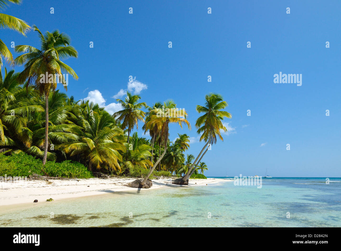 Beach in the Caribbean - Saona Island, Dominican Republic, Caribbean Stock Photo