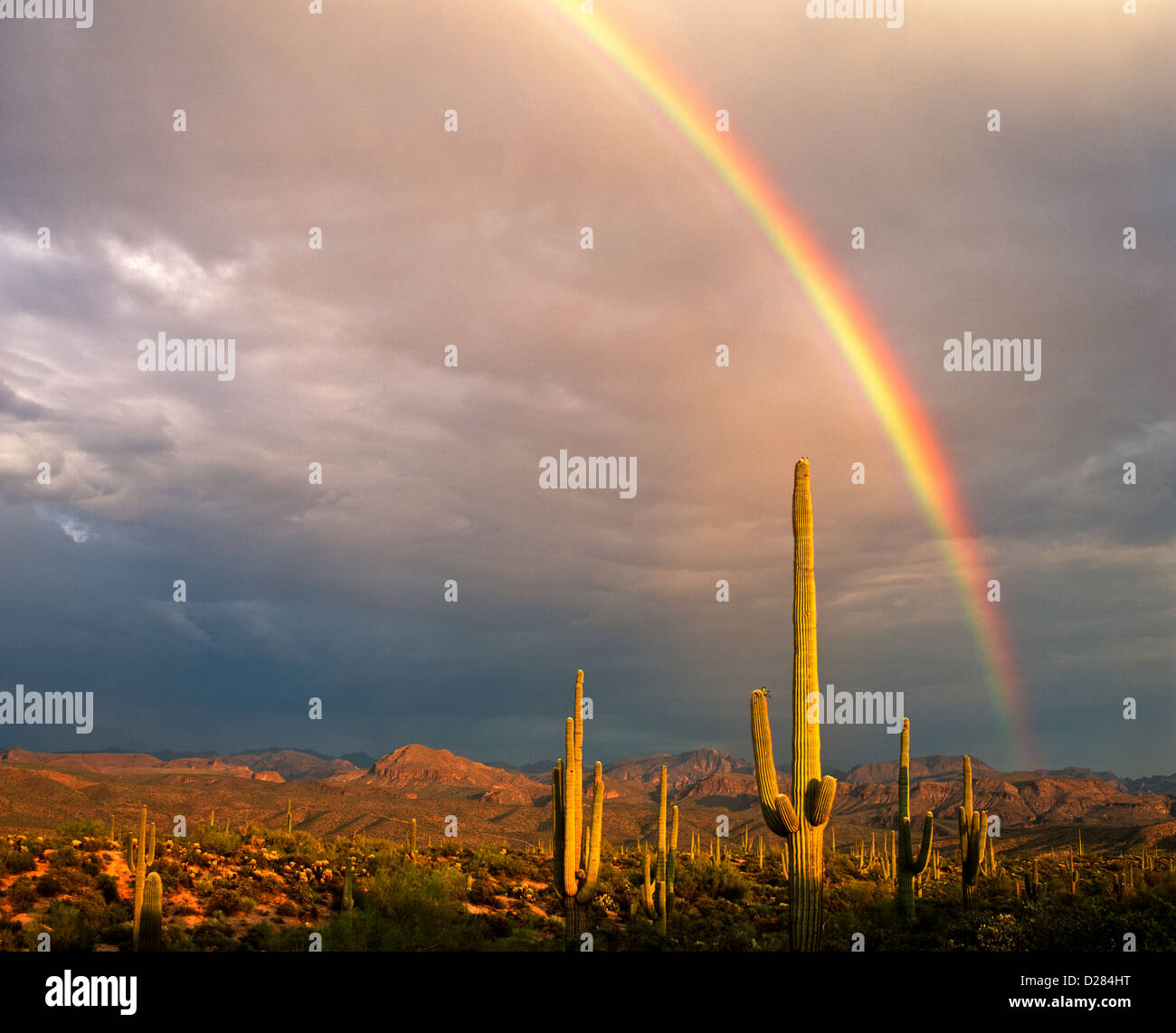 A beautiful double rainbow in the Sonoran Desert east of Fountain Hills ...