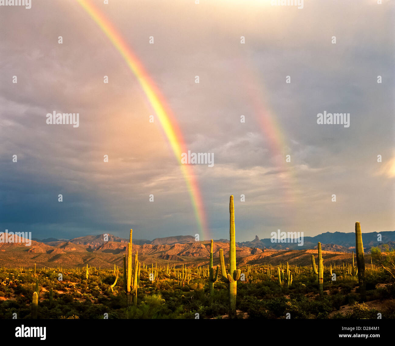 A beautiful double rainbow in the Sonoran Desert east of Fountain Hills ...