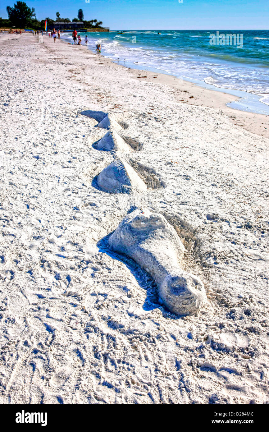 Aligator sand sculpture on Siesta Key beach in Sarasota Florida Stock Photo