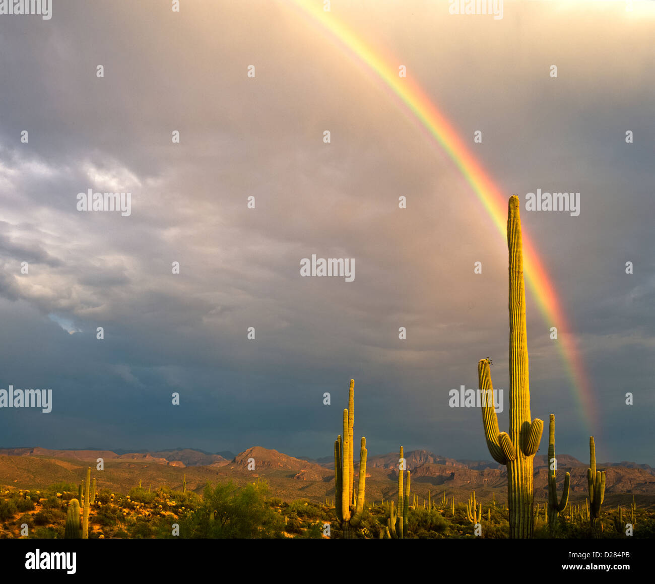 A beautiful double rainbow in the Sonoran Desert east of Fountain Hills ...