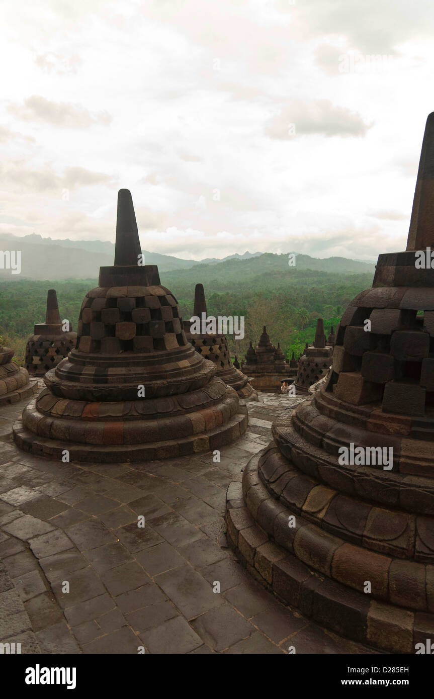 Stupas and Buddhas of Borobudur, Java, Indonesia Stock Photo