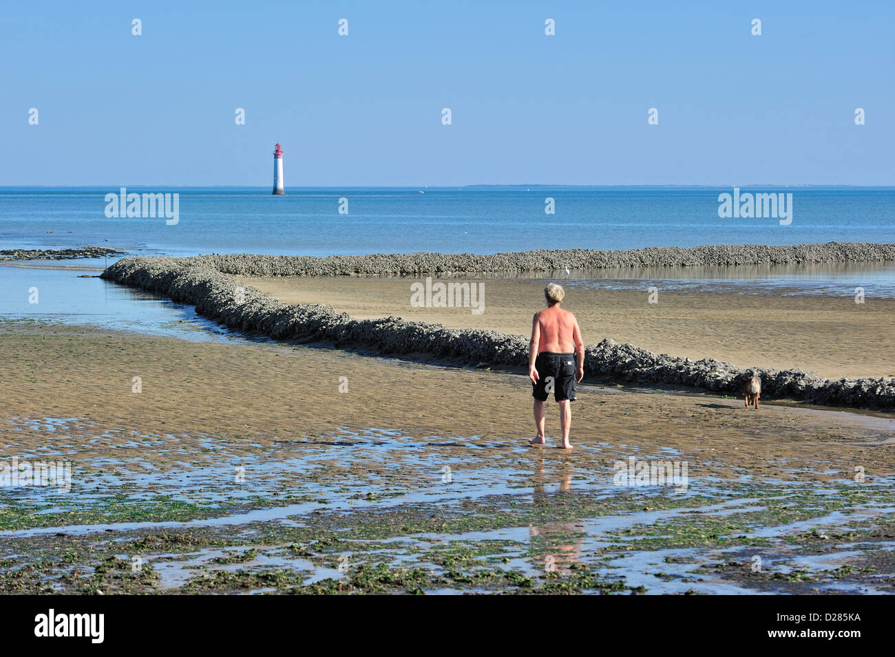 Fish lock / écluse, traditional way of trapping fish at low tide on the island Ile de Ré, Charente-Maritime, France Stock Photo
