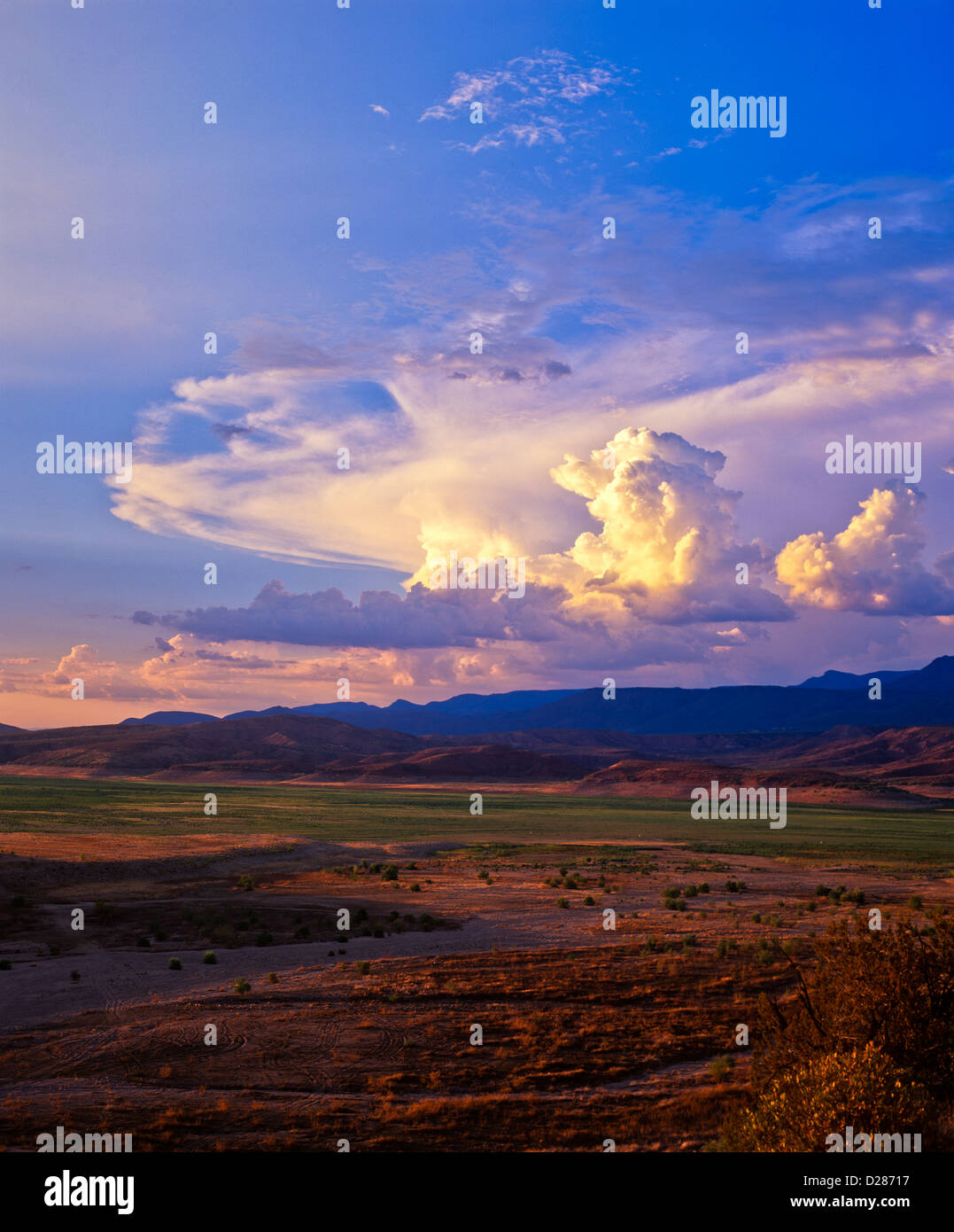 A thunderstorm builds to the north near Pumpkin Center, Arizona. Sierra