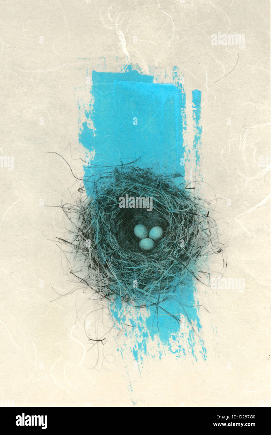 Photo print of a bird's nest on Japanese paper with a brush of blue