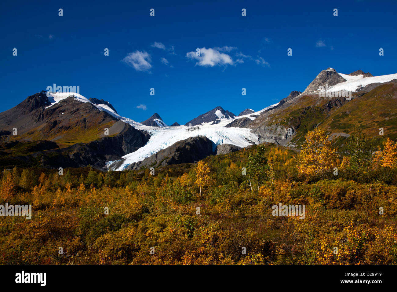 North America. USA. Alaska. Ice Flows of the Worthington Glacier Stock Photo