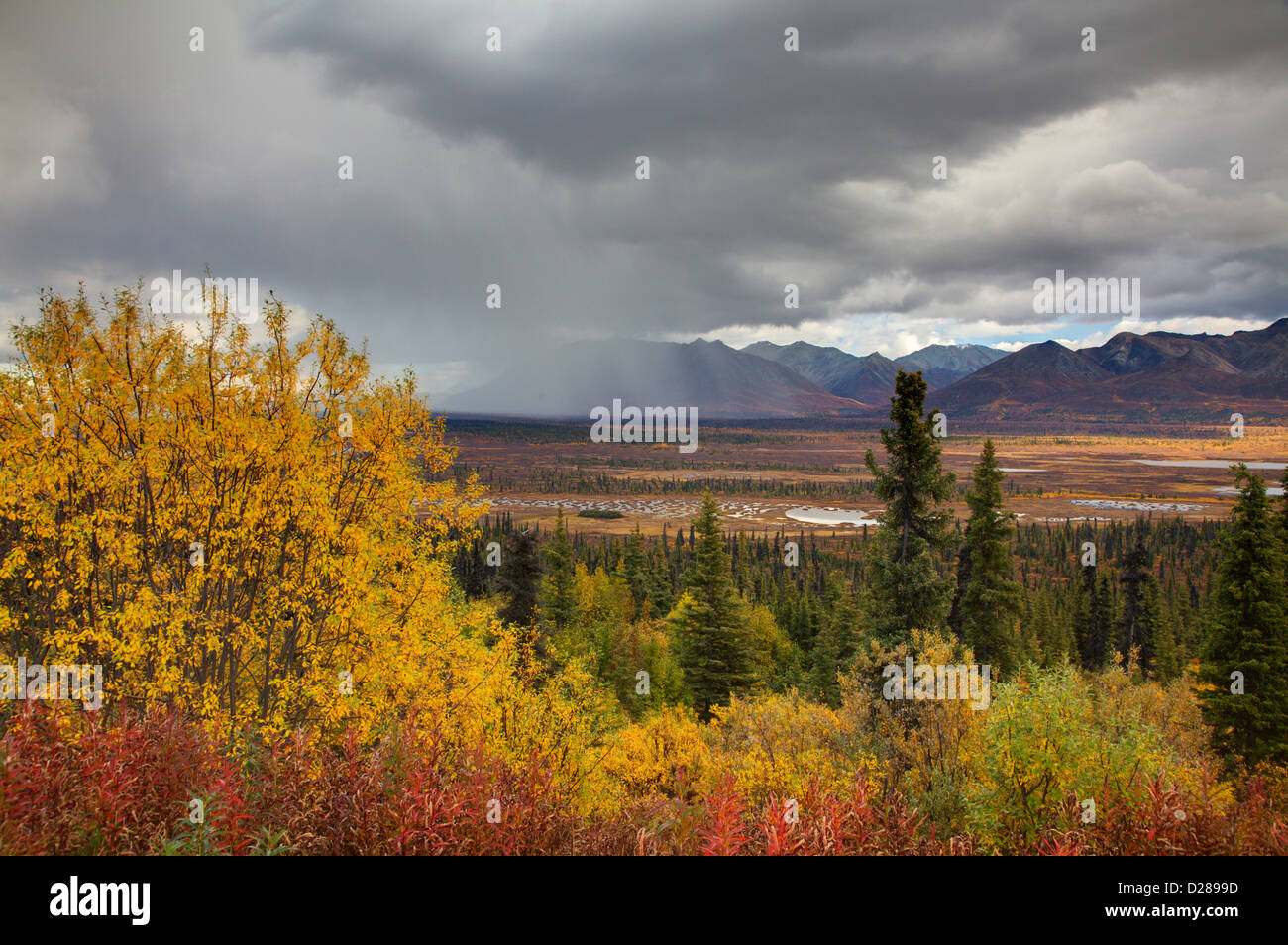 North America. USA. Alaska. Autumn Color along the Glennallen Highway Stock Photo Alamy