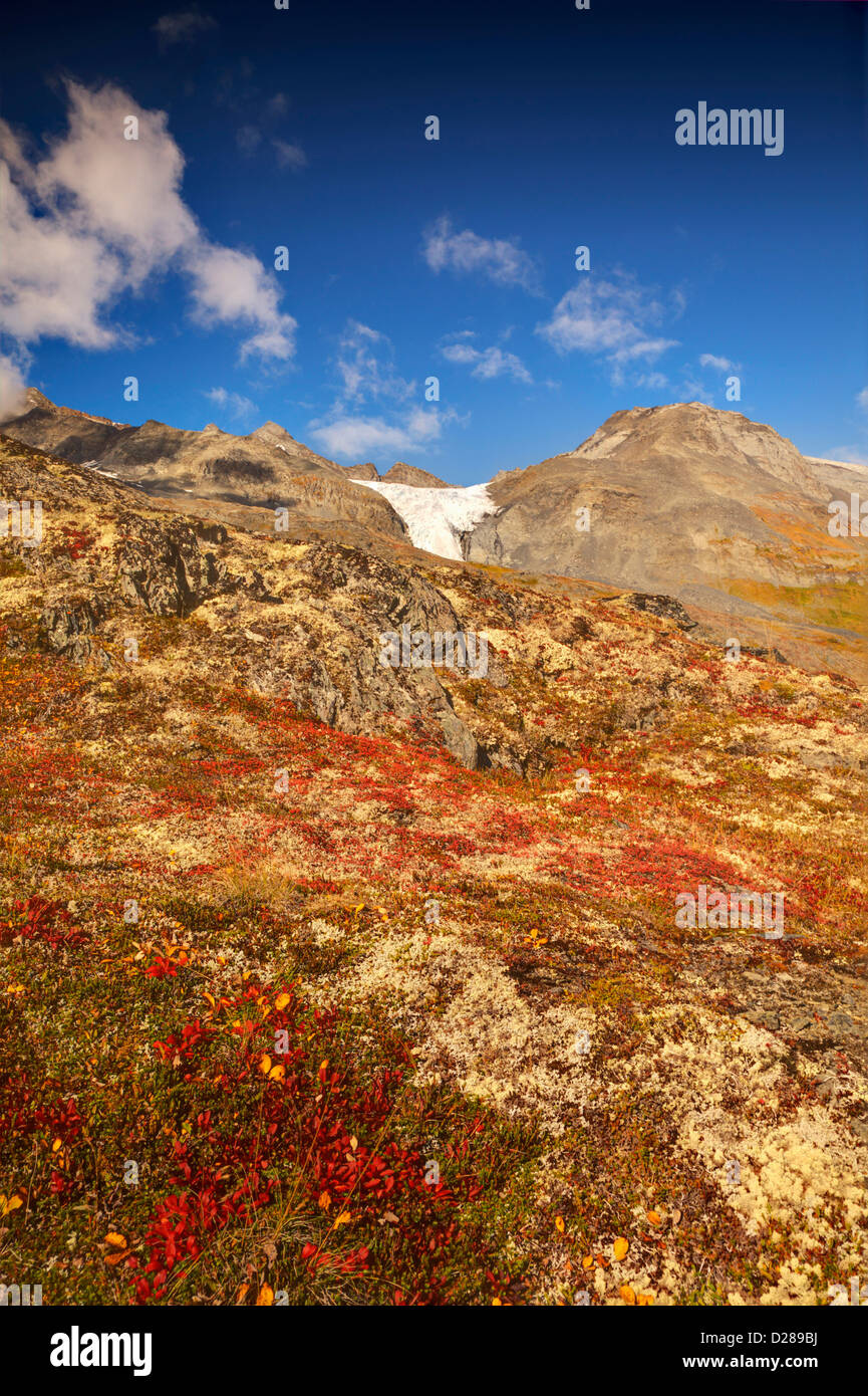 North America. USA. Alaska. Autumn Color along the Glennallen Highway Stock Photo Alamy