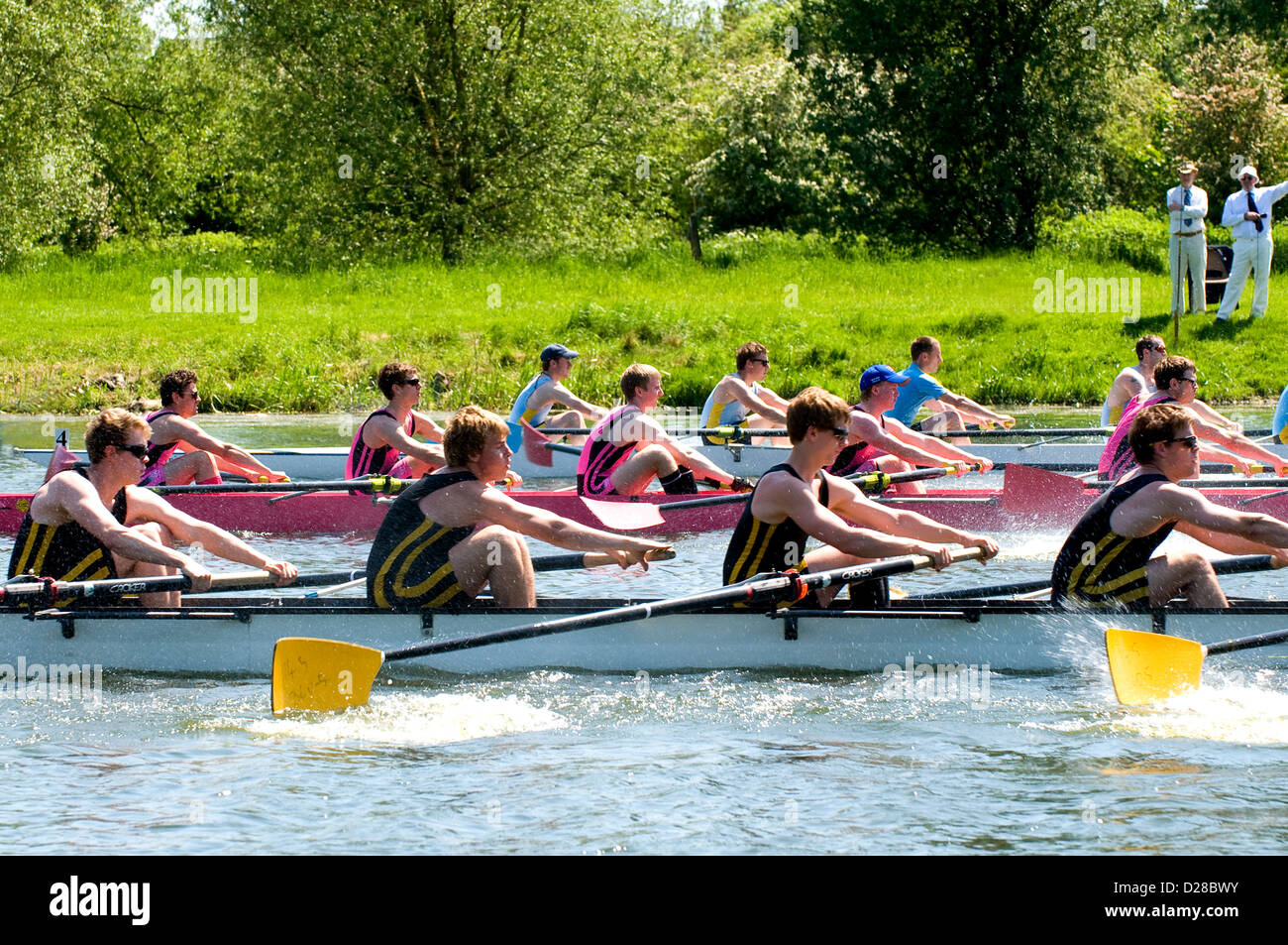 Rowing regatta start Stock Photo Alamy