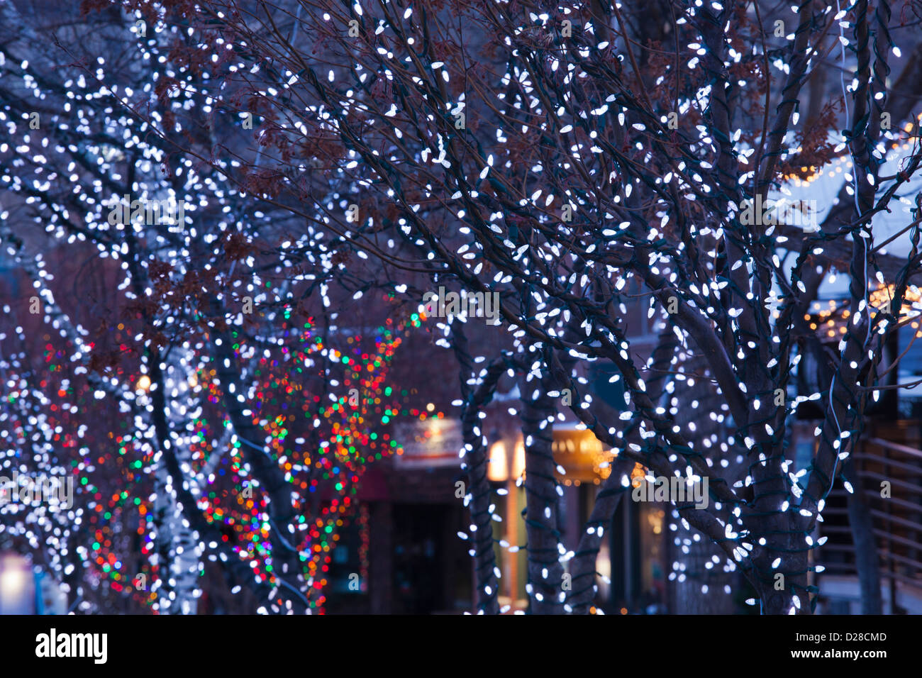 USA, Colorado, Aspen, Christmas lights on trees, Mill Street Mall Stock