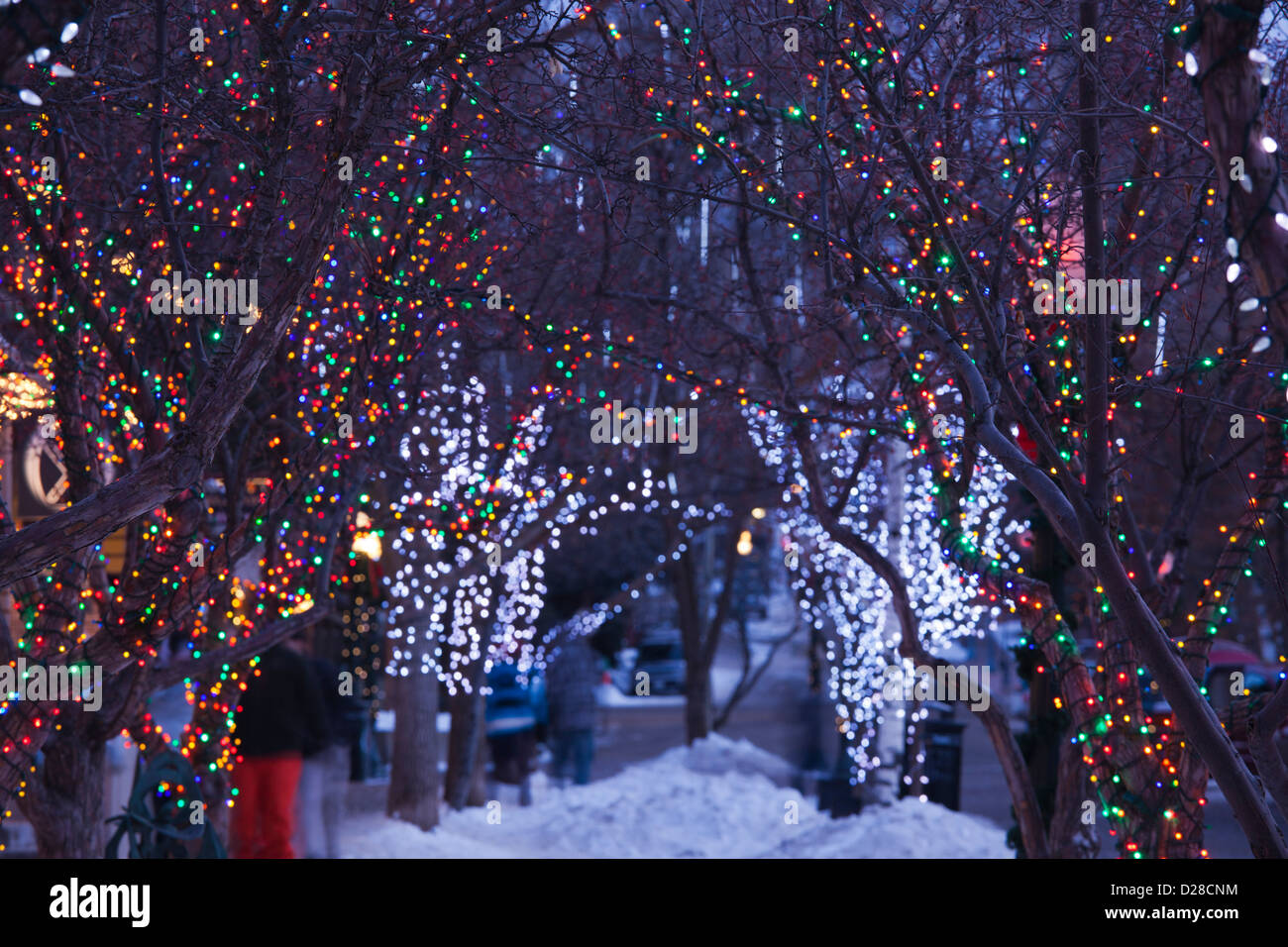 USA, Colorado, Aspen, Christmas tree lights, Mill Street Mall Stock