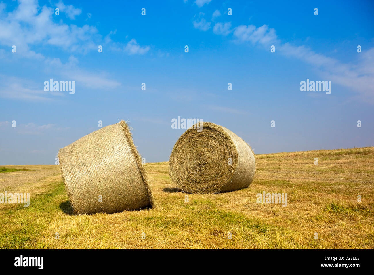 Two round hay bales in a freshly cut field in summer on a hillside ...