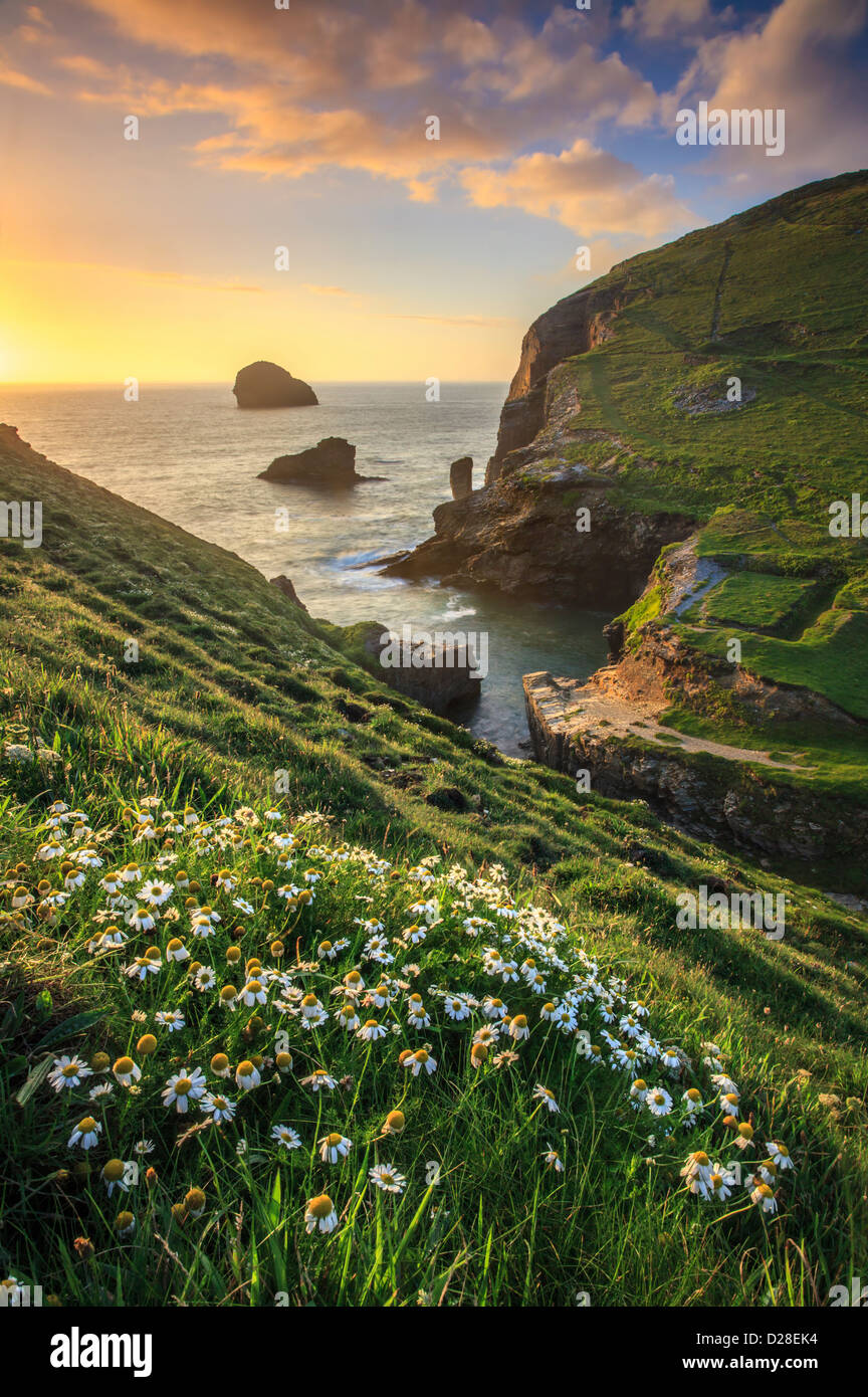 Backways Cove near Trebarwith Strand in Cornwall, captured at sunset with Gull Rock in the distance. Stock Photo