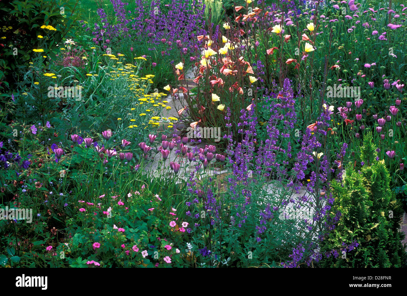 Herbaceous border path hi-res stock photography and images - Alamy