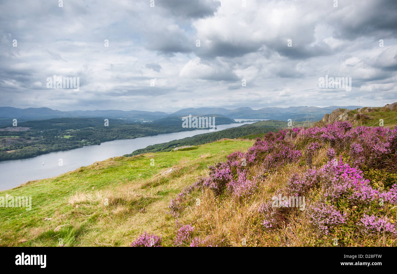 Windermere in the Lake District, Cumbria, England from Gummers How Stock Photo