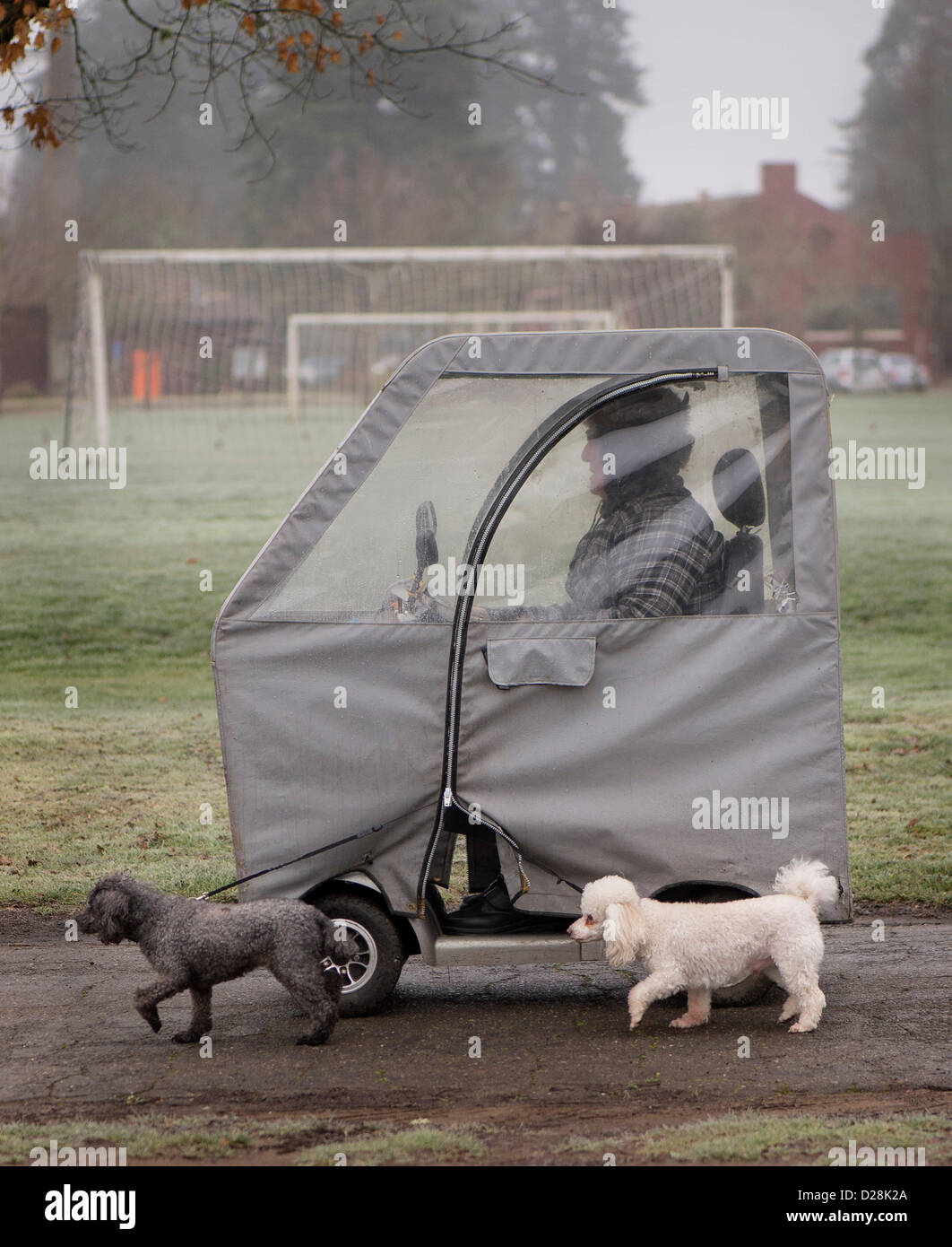 Fir grove hires stock photography and images Alamy