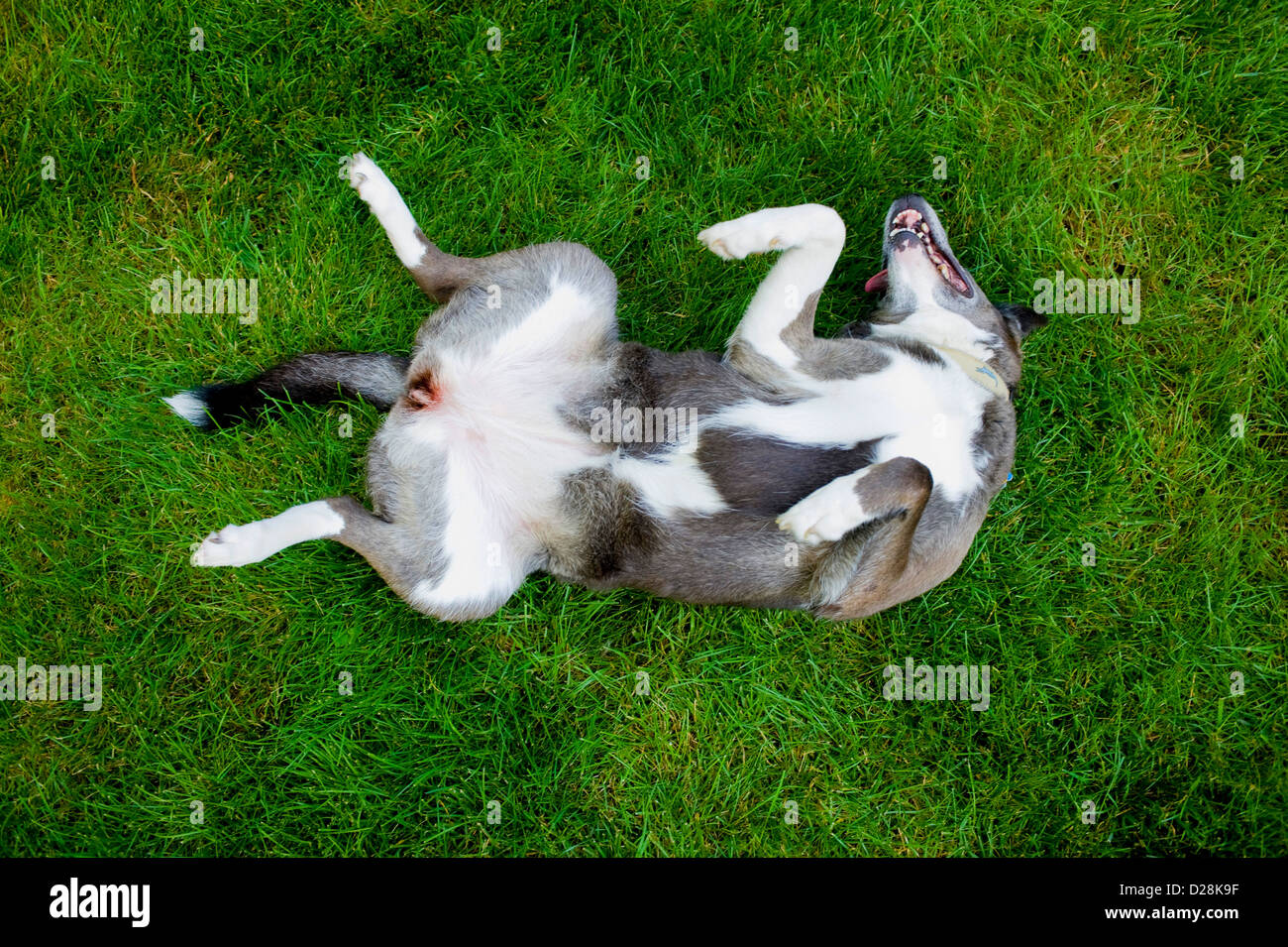 Happy spring hi-res stock photography and images - Alamy