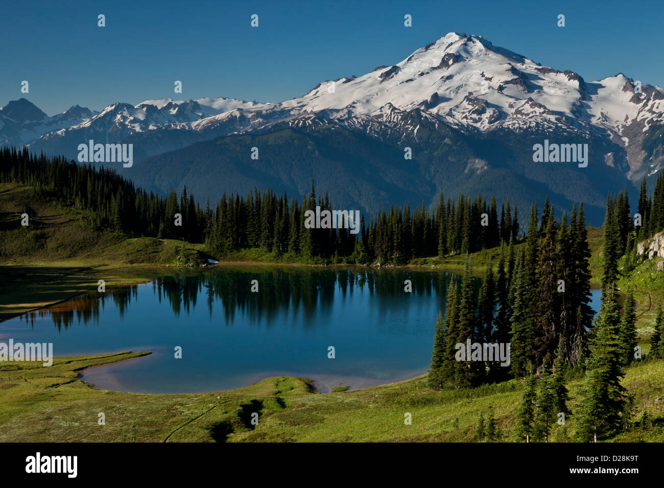 are dogs allowed in glacier peak wilderness