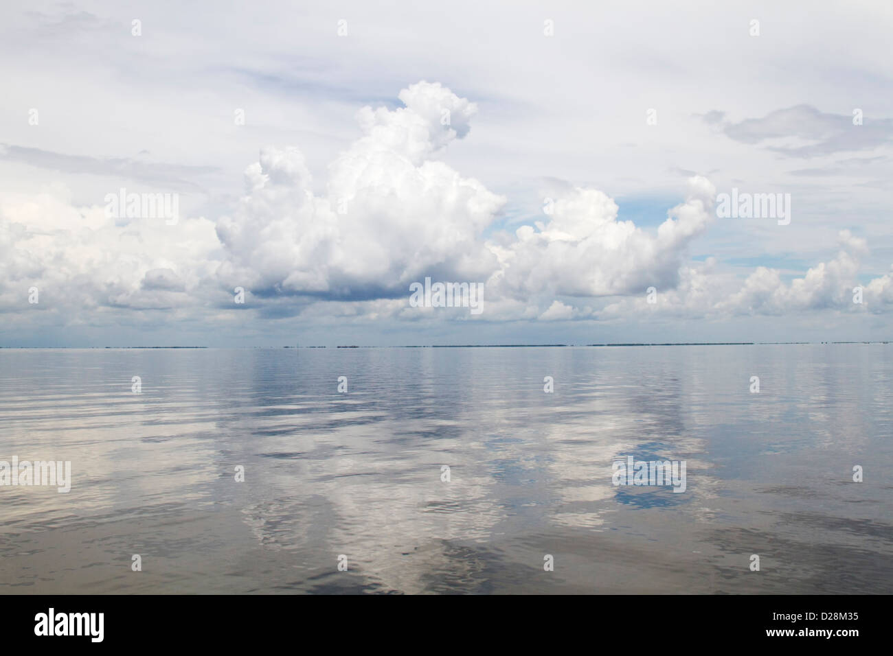 LA, Lafitte, Airboat swamp tour Stock Photo Alamy