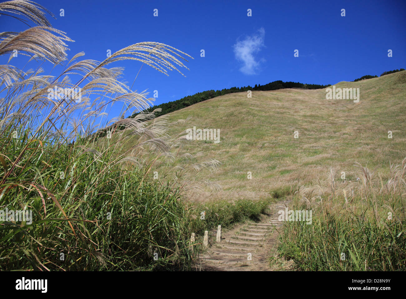 Grassland at Soni Plateau, Nara Prefecture Stock Photo Alamy