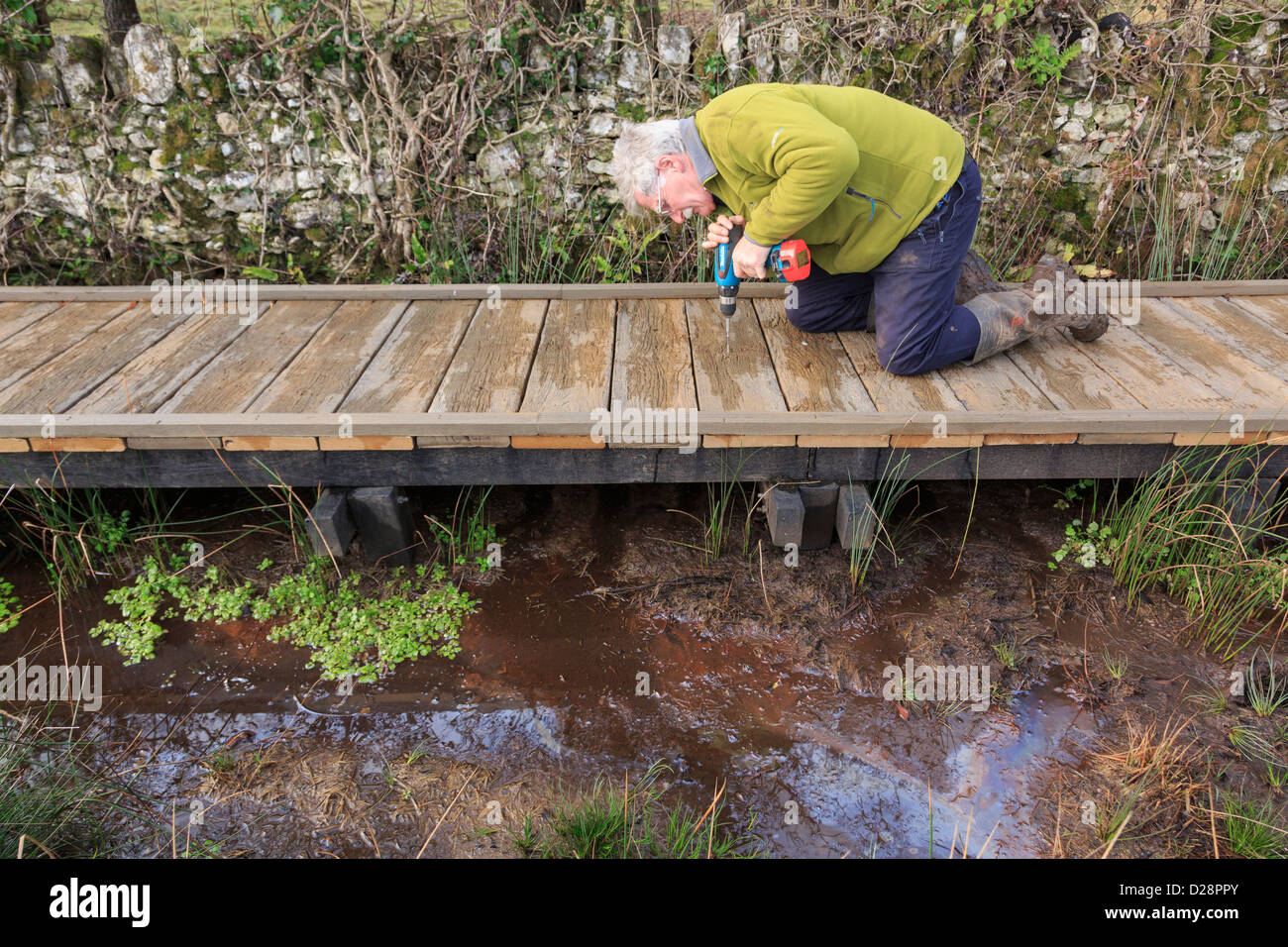 Ramblers footpath volunteer working building a boardwalk over boggy fen in Cors Bodeilio nature reserve on Anglesey Wales UK Stock Photo