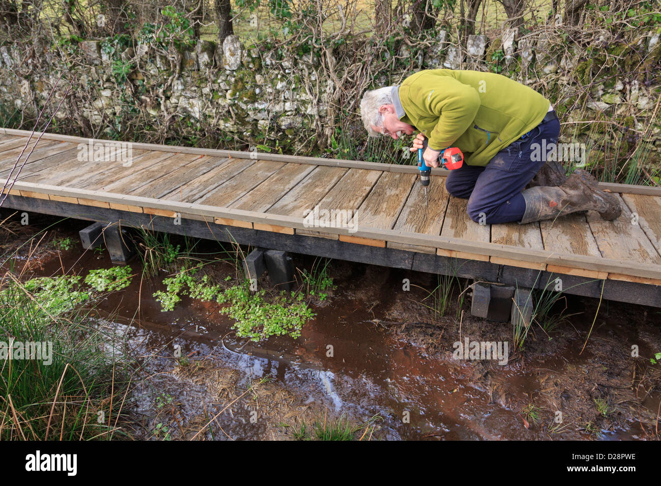 Ramblers footpath volunteer working building a boardwalk over boggy fen in Cors Bodeilio nature reserve on Anglesey Wales UK Stock Photo