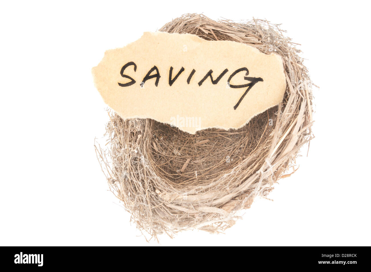 Saving concept word in bird nest Stock Photo Alamy