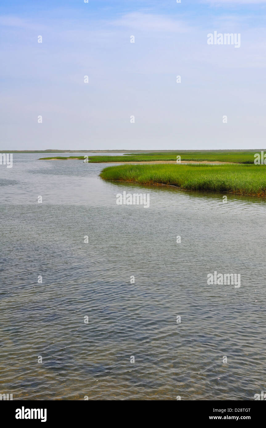 Salt Marshes on Cape Cod, Massachusetts, USA Stock Photo