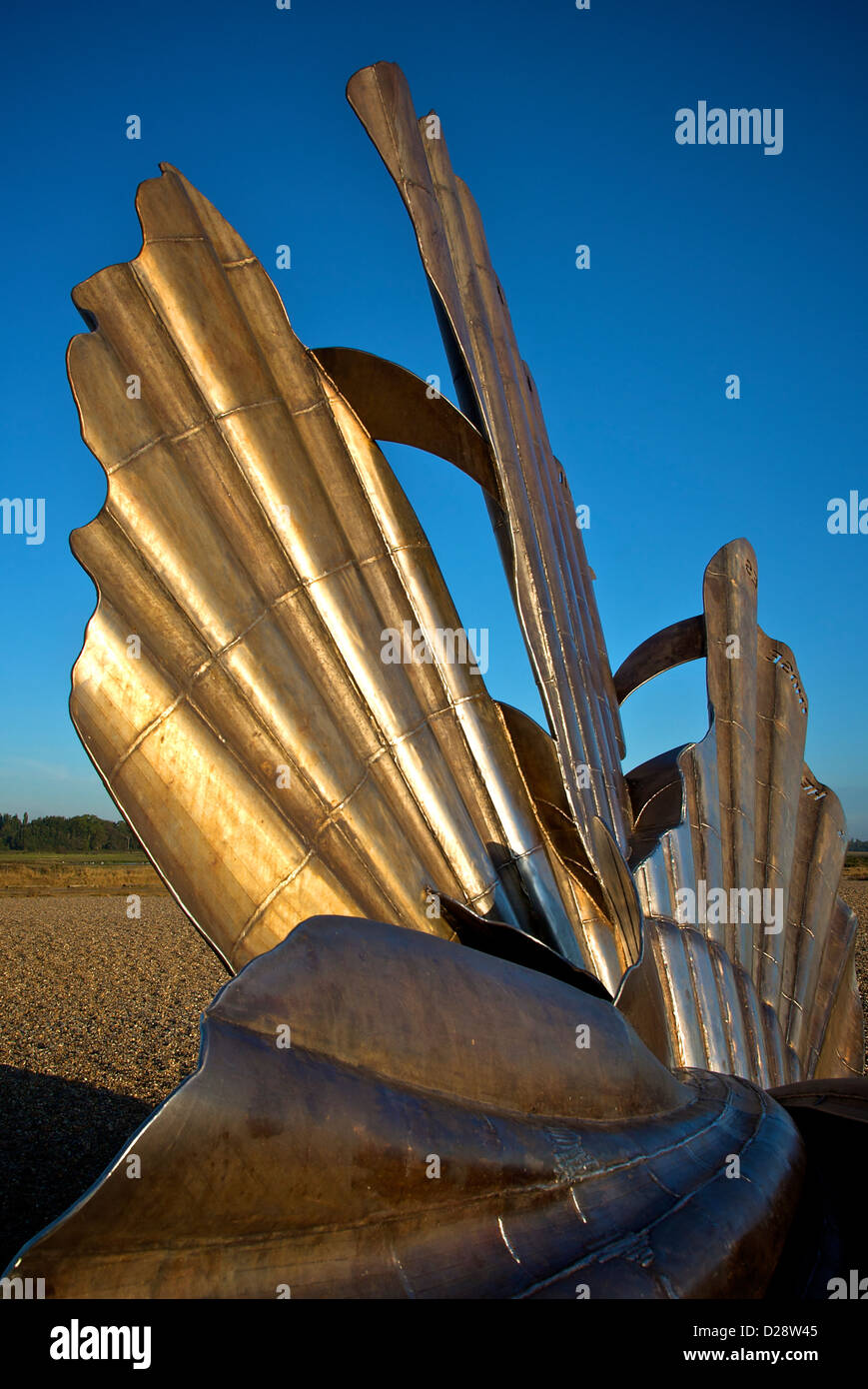 Aldeburgh Suffolk UK Beach Shell Sculpture Stock Photo Alamy